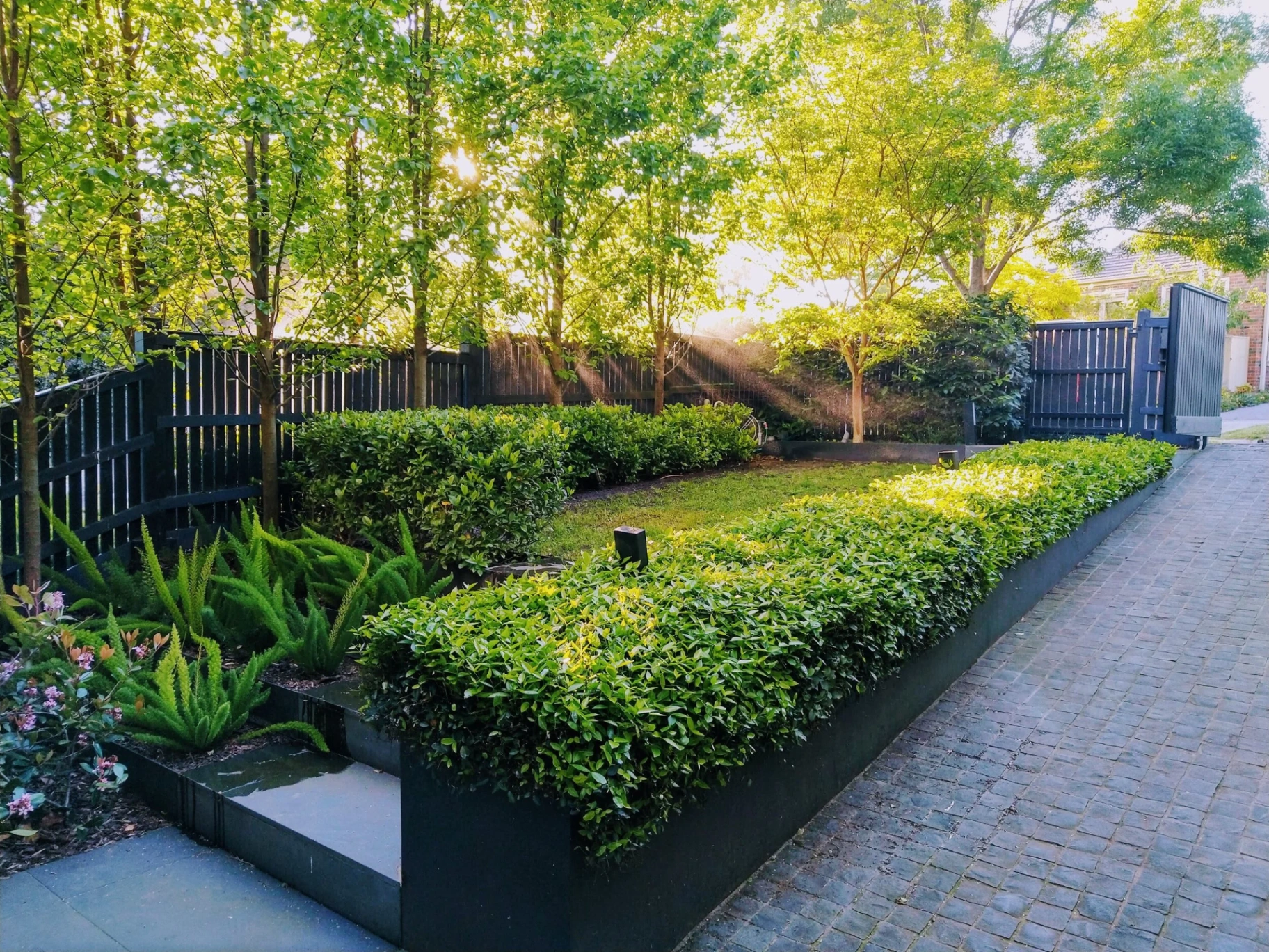 ABS Horticulture — landscaped hedging and planting